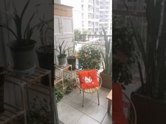 316 ग्रेड स्टेनलेस स्टील, क्लिप क्रॉसिंग सुरक्षा के साथ अदृश्य बालकनी ग्रिल के लिए