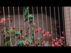 बालकनी इनविजिबल ग्रिल चाइल्ड प्रोटेक्शन 316 स्टेनलेस स्टील