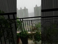 घर अदृश्य स्थिर सुरक्षा ग्रिल्स बच्चों और पालतू जानवरों की सुरक्षा के लिए जंग रोधी तार