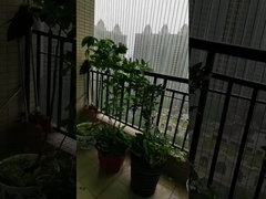 100 किलोग्राम क्षमता के साथ अनब्लॉक व्यू बालकनी ग्रिल्स बालकनी अदृश्य ग्रिल्स