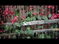 आधुनिक समाज डिजाइन बालकनी छिद्रित ग्रिड पंचिंग सेवा और लोड क्षमता 100 किलो के साथ